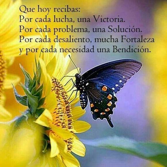 Meet your Posher, Vilma - Picture 1 of 1